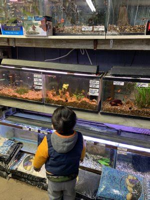 Ely's Tropical Fish .